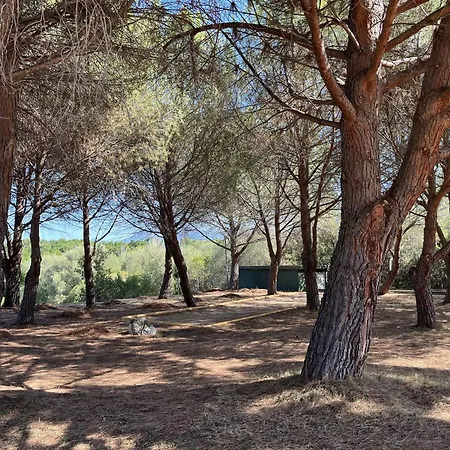 Saint-florent: T2 Avec Terrasse, Piscine, Clim Et Parking Pres - Fr-1-650-40 Apartment Saint-Florent (Corsica)